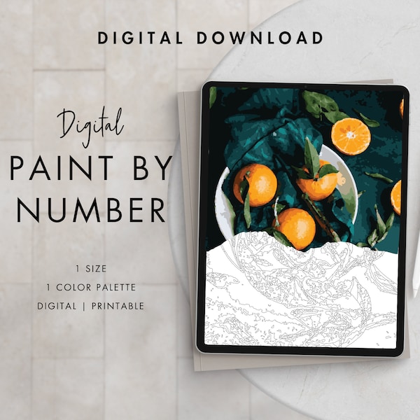 Orange Still Life Paint By Number Kit Adult | Printable & Digital Download Art | Procreate Color Palettes | Digital Wallpaper