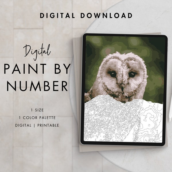 Owl Paint By Number Kit Adult | Printable & Digital Download Art | Procreate Color Palettes | Digital Wallpaper