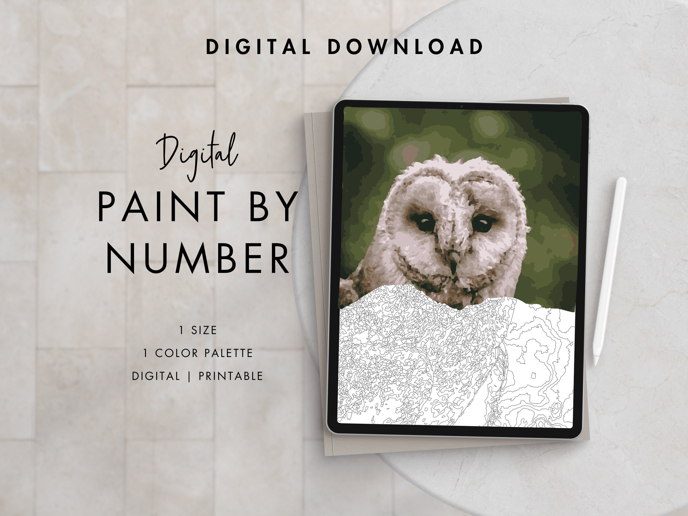 Owl Paint By Number Kit Adult | Printable & Digital Download Art | Procreate Color Palettes | Di