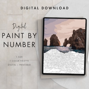 Coastal Rocks Paint By Number Kit Adult | Printable & Digital Download Art | Procreate Color Palettes | Digital Wallpaper
