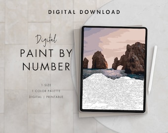 Coastal Rocks Paint By Number Kit Adult | Printable & Digital Download Art | Procreate Color Palettes | Digital Wallpaper