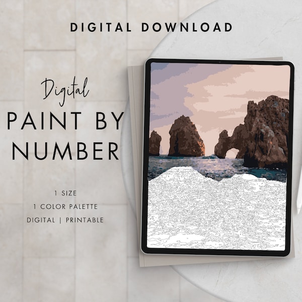 Coastal Rocks Paint By Number Kit Adult | Printable & Digital Download Art | Procreate Color Palettes | Digital Wallpaper