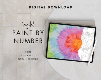 Abstract Rainbow Paint By Number Kit Adult | Printable & Digital Download | Color By Numbers | Procreate Color Palettes