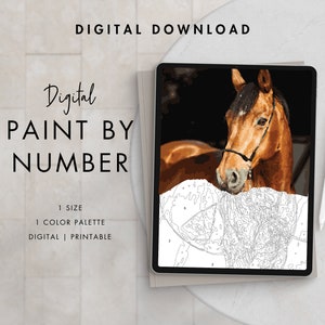 Horse Paint By Number Kit Adult | Printable & Digital Download Art | Procreate Color Palettes | Digital Wallpaper
