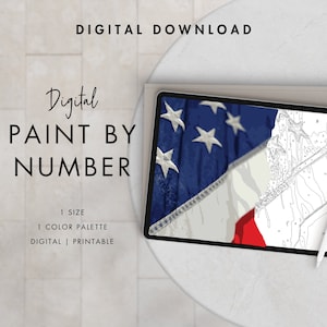 Paint By Number Kit Adult | Digital Download Art | AMERICAN FLAG | Procreate Color Palettes | Printable | Digital Wallpaper