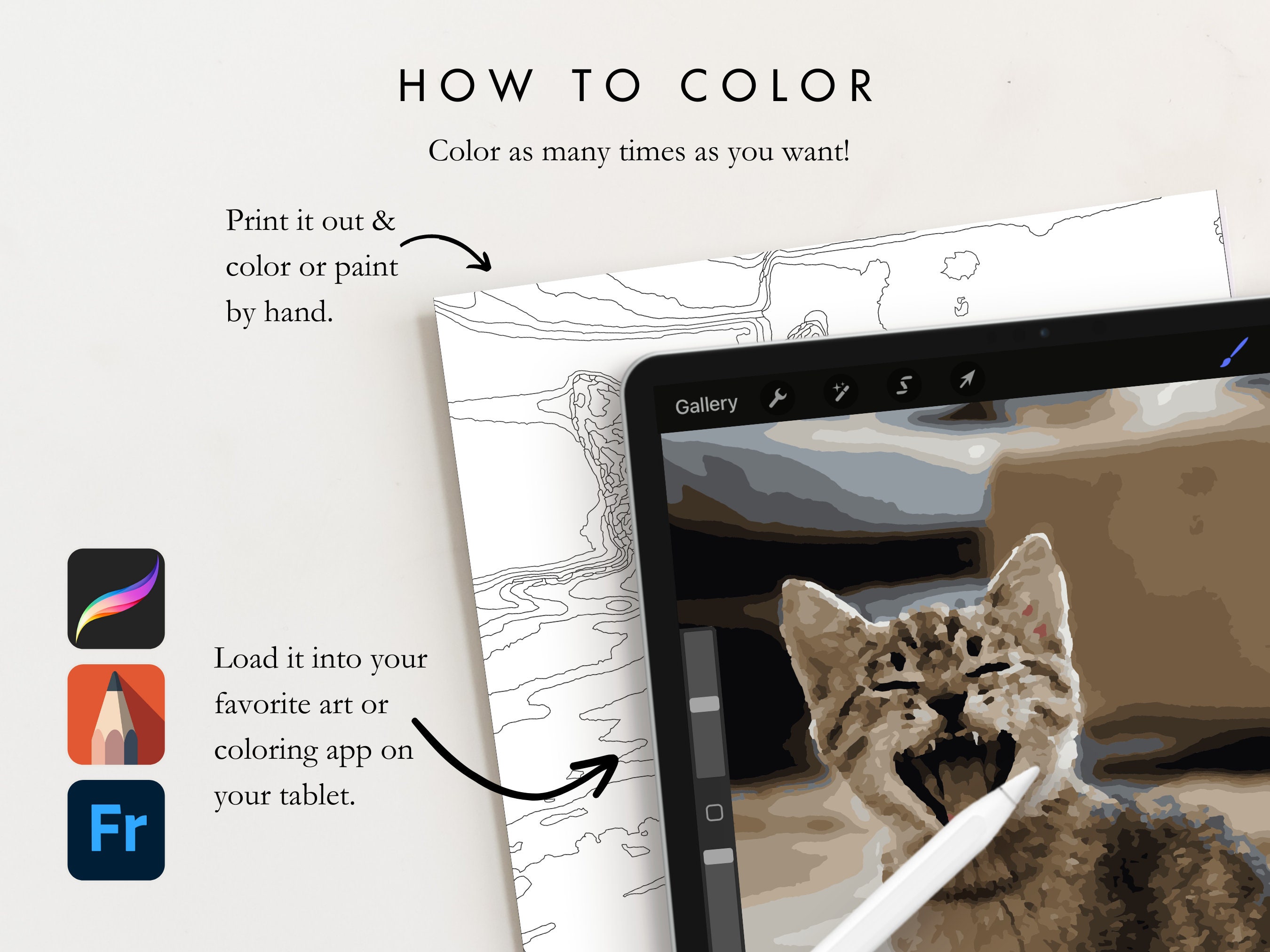 Kitten Paint by Number Kit Adult | Printable & Digital Download | Color ...