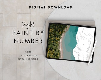 Aerial Beach Paint By Number Kit Adult | Printable & Digital Download | Color By Numbers | Procreate Color Palettes | Digital Wallpaper