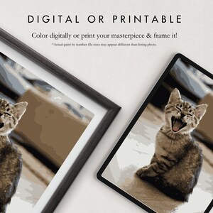 Kitten Paint by Number Kit Adult | Printable & Digital Download | Color ...
