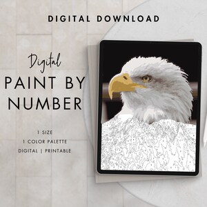 Paint By Number Kit Adult | Digital Download Art | BALD EAGLE | Procreate Color Palettes | Printable | Digital Wallpaper