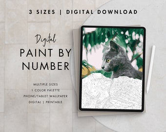 Paint By Number Kit Adult | Digital Download Art | Paint By Number CAT | Procreate Color Palettes | Printable | Digital Wallpaper