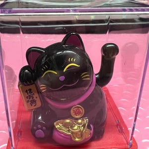 May include: A glossy black beckoning cat figurine with purple accents, yellow eyes, and a gold coin on its chest. The cat holds a small wooden-colored rectangular tag with black text and is enclosed in a clear plastic display case with a red base.