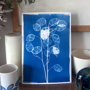 May include: A cyanotype print of a plant with circular seed pods, rendered in white against a deep blue backdrop. The artwork is framed in wood, creating a natural and minimalist aesthetic. The print is a unique piece of wall decor, suitable for any room.