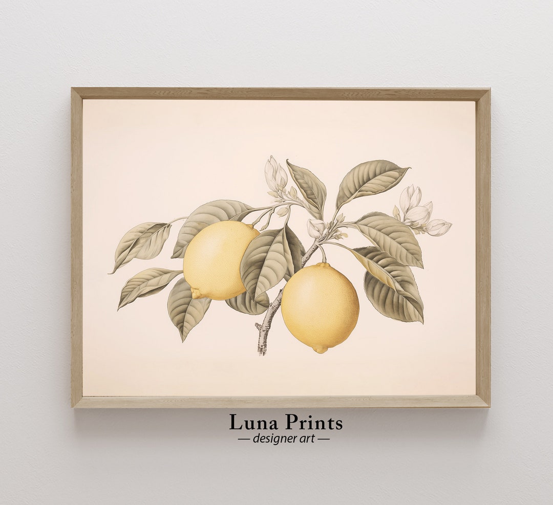 Lemon Botanical Print, PRINTABLE ART, Vintage Fruit Illustration - Etsy