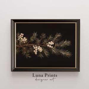 May include: A framed botanical print featuring a branch of white berries and green leaves against a black background. The print is framed in a black frame with a gold inner border. The text "Luna Prints designer art" is printed below the frame.