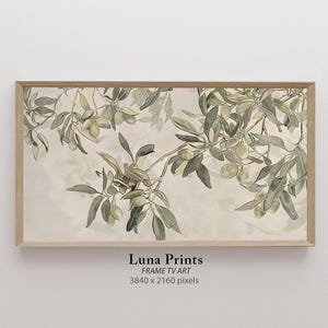 Olive Tree Drawing TV Art, Muted Toned Botanical, DIGITAL DOWNLOAD, Neutral Modern Organic Art for Samsung tv, Sage Green Tv Screensaver