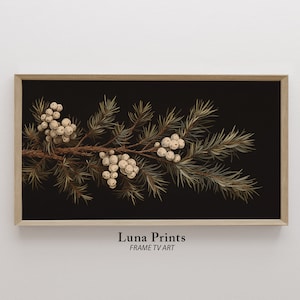 Puede incluir: Una impresión enmarcada de una ilustración botánica que presenta una rama de un árbol conífero con bayas blancas sobre un fondo negro. La impresión se titula "Luna Prints" con el texto "FRAME TV ART" debajo del título.