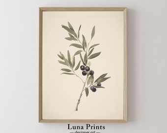 May include: A framed botanical illustration of a branch of olive tree with dark green leaves and black olives. The print has a cream background and is framed in a light wood frame. The text "Luna Prints - designer art" is printed below the image.