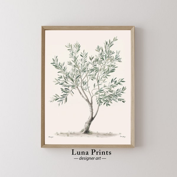Olive Tree Botanical Print, PRINTABLE ART, Botanical Illustration, Muted Toned Modern Organic Art, Spring Art