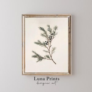 May include: A framed botanical print featuring a detailed illustration of a green branch with dark blue berries. The print is set against a white background and has a light wood frame.