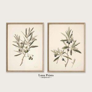 May include: A pair of botanical prints depicting olive branches with green leaves and black olives. The prints are framed in a light wood frame.