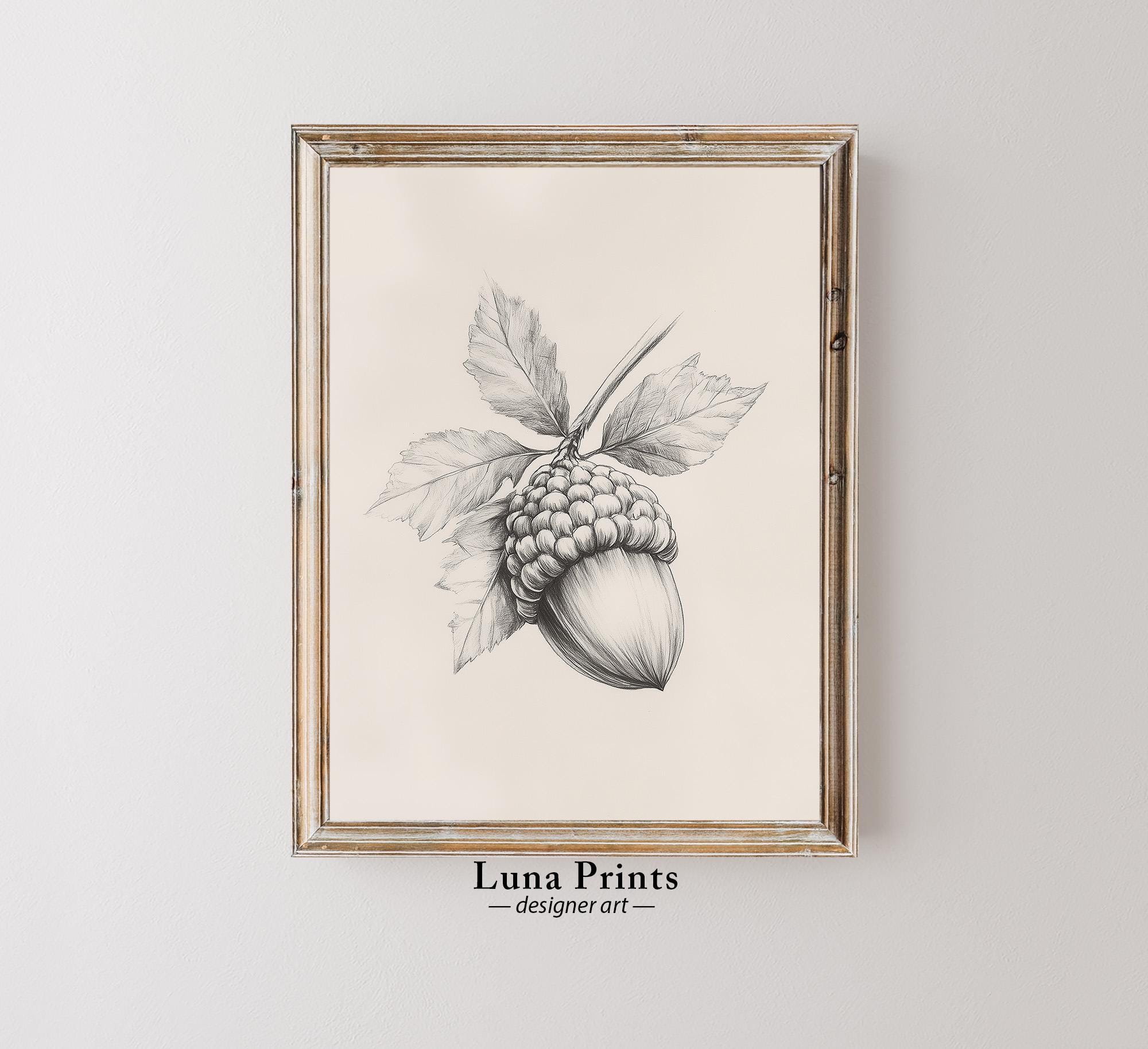 Vintage Fall Acorn Drawing, PRINTABLE ART, Antique Fall Botanical