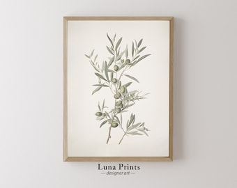 May include: A framed botanical illustration of an olive branch with green leaves and olives. The print is on a white background and has the text "Luna Prints - designer art" at the bottom.