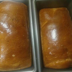 Homemade White Bread