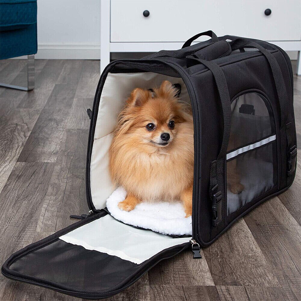 Designer Dog Carrier Airline Approved TSA Approvel Pet Carriers For Cats  Dogs Of 10 Lbs Dog Handbag With Classic Old Floral Letter Pattern Brown  From Activehome, $181.69