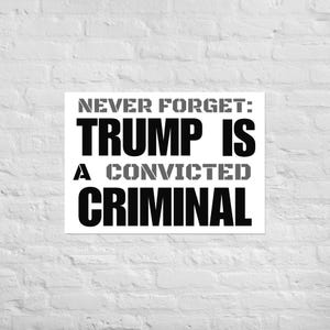 Never Forget: Trump is a Convicted Criminal Protest Poster