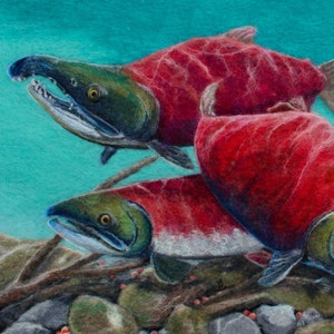 Alaskan Sockeye Salmon art print. 10x20 inch paper print UNFRAMED. Giclee paper print made from my original wool painting &quot;Spawning Grounds&quot;