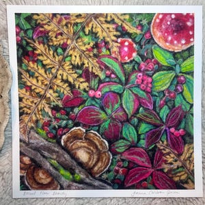 May include: A colorful illustration of a forest floor scene. The artwork features detailed depictions of mushrooms, ferns, berries, and various plant life in shades of red, green, and brown. The text "Boreal Floor Beauty" is visible.