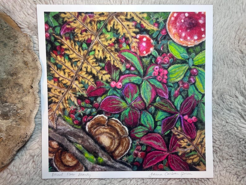 May include: A colorful illustration of a forest floor scene. The artwork features detailed depictions of mushrooms, ferns, berries, and various plant life in shades of red, green, and brown. The text "Boreal Floor Beauty" is visible.
