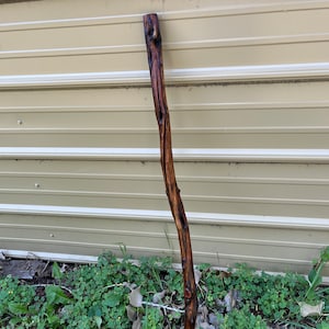 41&quot; Diamond Willow Cane