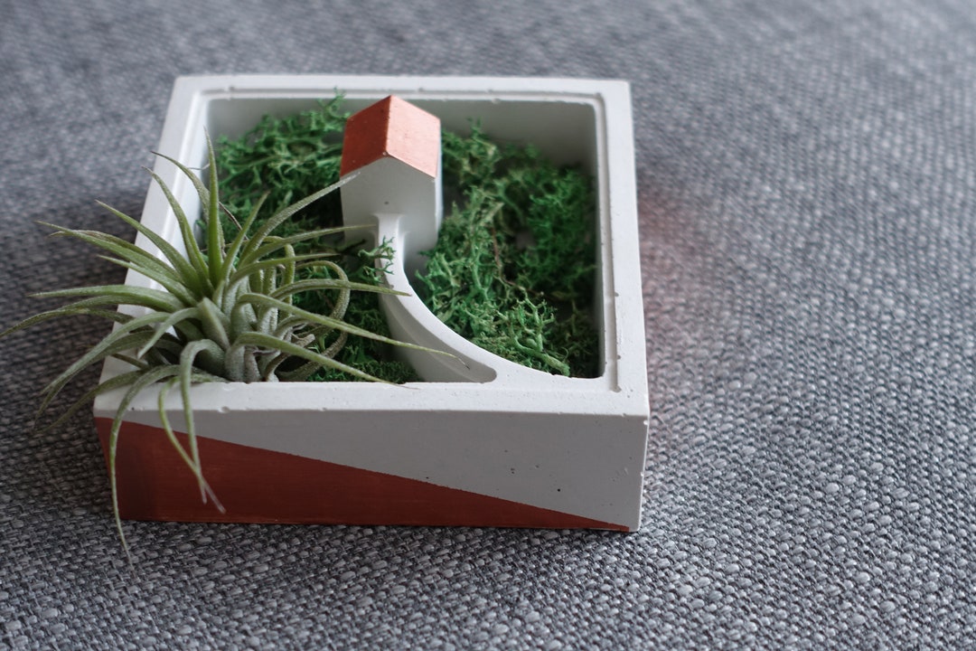 handmade-cute-little-concrete-house-planter-unique-gift-miniature