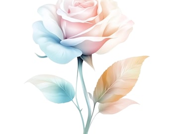Pacchetto di clipart con 12 varietà di colori di rose con sfondo trasparente, download digitale, disegni PNG, arte stampabile