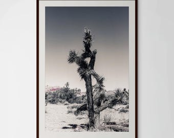 The Sentinel | Hand-Signed Fine Art Memorial Print, Joshua Tree