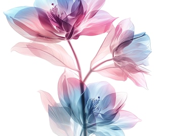 Sfondo trasparente Fiori astratti PNG Clipart Bundle Download digitale 10 disegni
