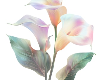 Pacchetto di clipart PNG di calla giglio astratto con sfondo trasparente, download digitale di 12 design