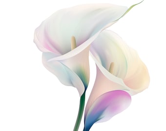 Pacchetto di clipart PNG di calla giglio astratto con sfondo trasparente, download digitale di 10 design