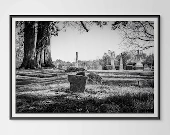 Unequal Rest - Tennessee History Photography Print, Franklin TN Art, Hand Signed Giclee Print