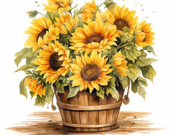 Pacchetto clipart di girasoli ad acquerello: 13 immagini PNG con sfondo trasparente (download digitale)