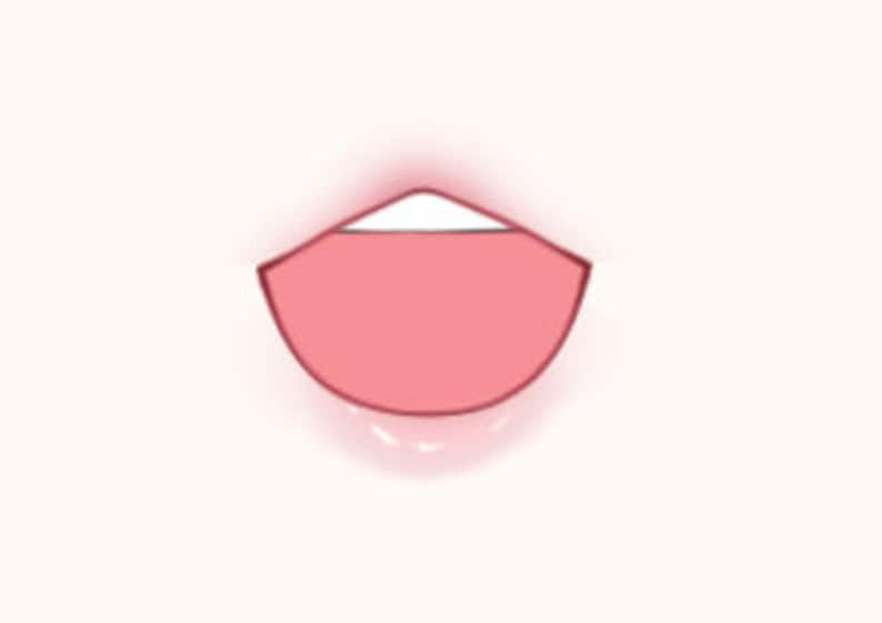 Vtuber Mouth Suivi standard Etsy France