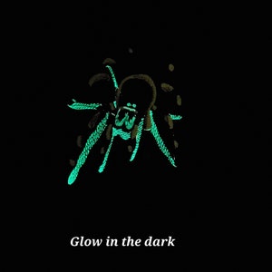 May include: A glow-in-the-dark sticker of a spider with a green outline. The sticker is on a black background. "Glow in the dark" is written in white text below the sticker.