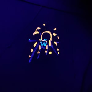 May include: A black hoodie with a yellow and blue spider design on the front. The spider is outlined in yellow and has a blue body.