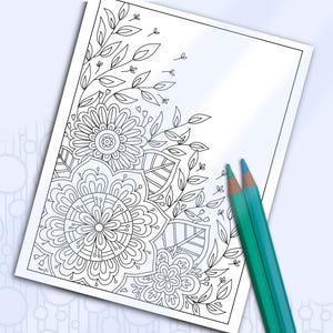 May include: A black and white coloring page featuring intricate floral designs with leaves and flowers. Two colored pencils are included in the image.