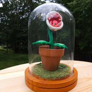 Puede incluir: Una pequeña planta verde con una boca roja y blanca, en una maceta marrón, bajo una cúpula de vidrio con una base de madera.