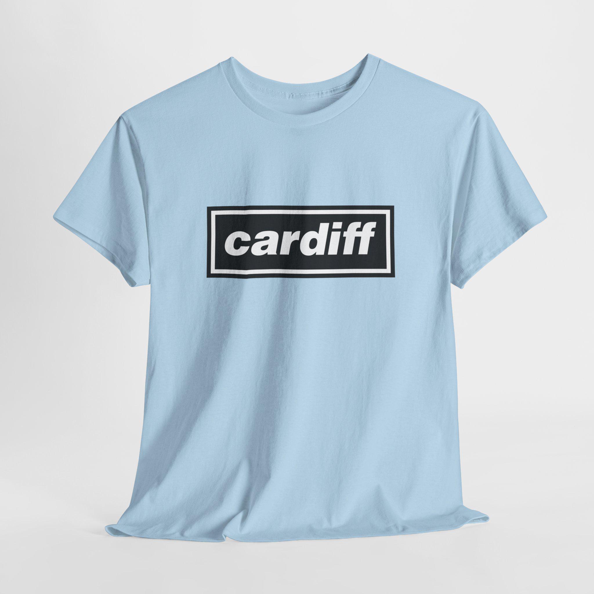 oasis ライブTシャツ CARDIFF 2025カーディフ oasis ライブTシャツ CARDIFF 2025 - メルカリ