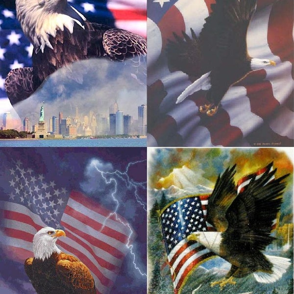 Set of 4 Patriotic Eagle USA Fabric Quilt Blocks
