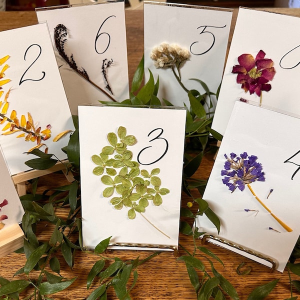 Dried Wildflower Table Number Cards,  Set of 10