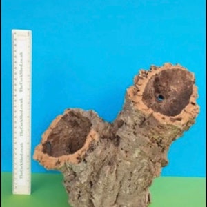 Cork bark tube 26cm ideal for Vivariums reptiles snakes spiders